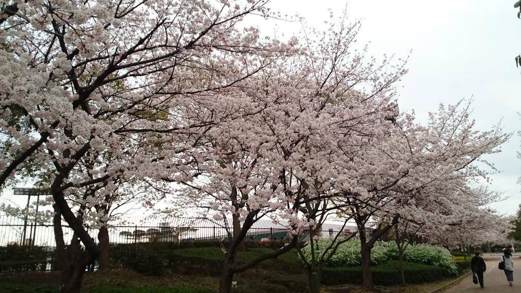 Matsubara Abiko Guest House מראה חיצוני תמונה
